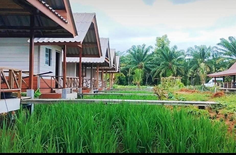 ปารมีฟาร์มสเตย์ Takuapa المظهر الخارجي الصورة