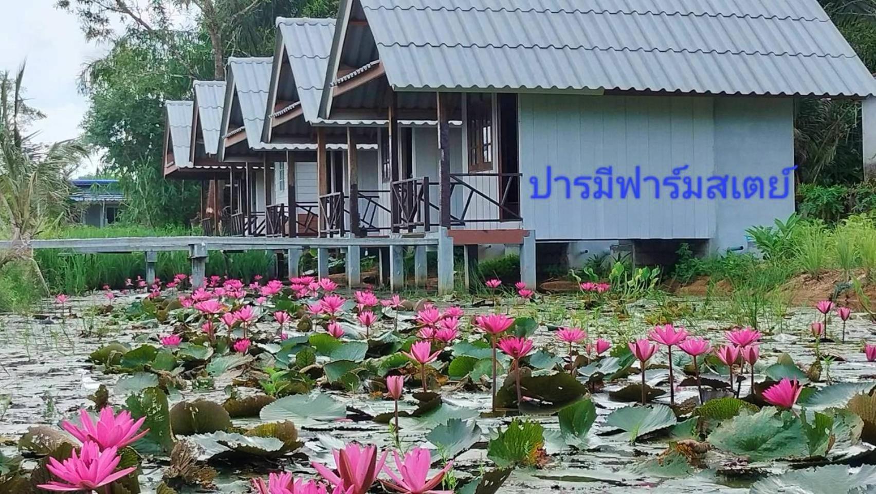 ปารมีฟาร์มสเตย์ Takuapa المظهر الخارجي الصورة